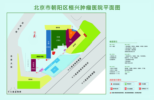 操逼视频快播北京市朝阳区桓兴肿瘤医院平面图